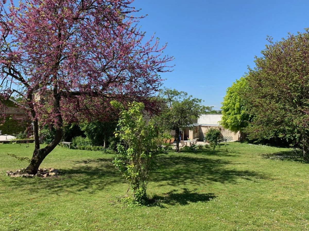 Le Clos Corbier Mareuil-sur-Ay Dış mekan fotoğraf